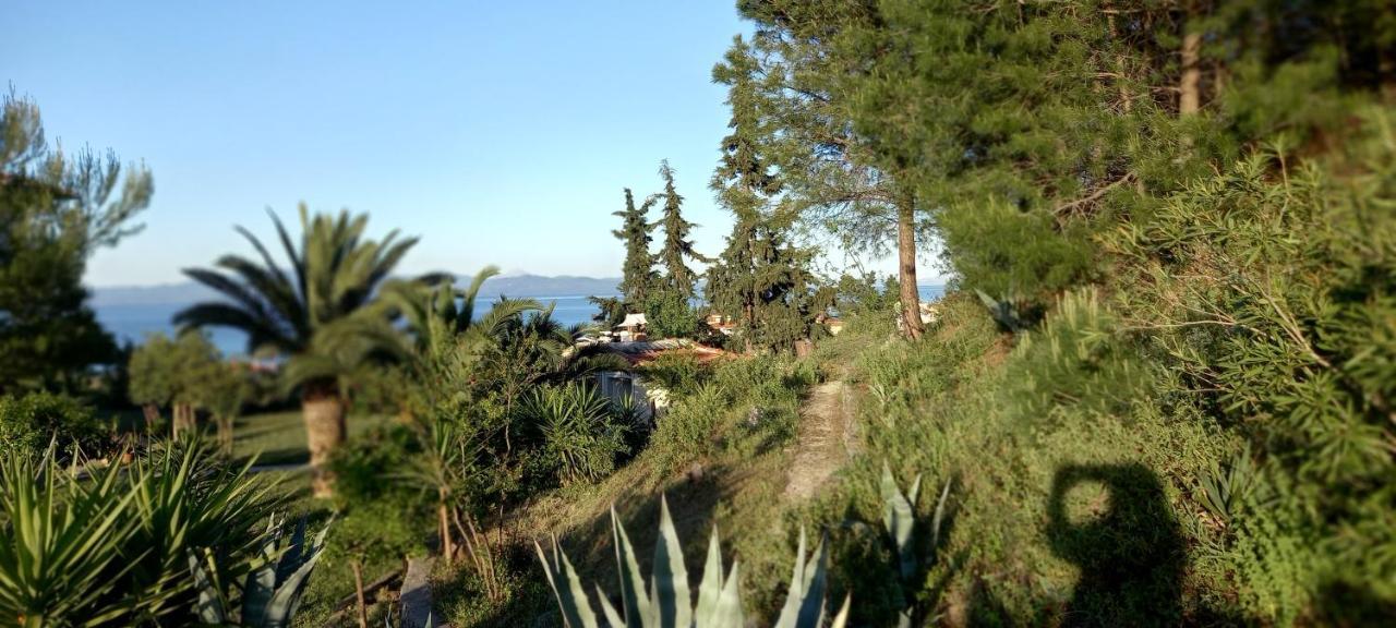 Seaside View Villa Hanioti Esterno foto