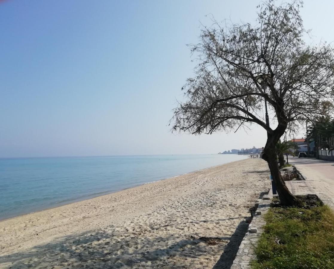 Seaside View Villa Hanioti Esterno foto